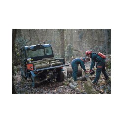 Kubota RTV-X1110